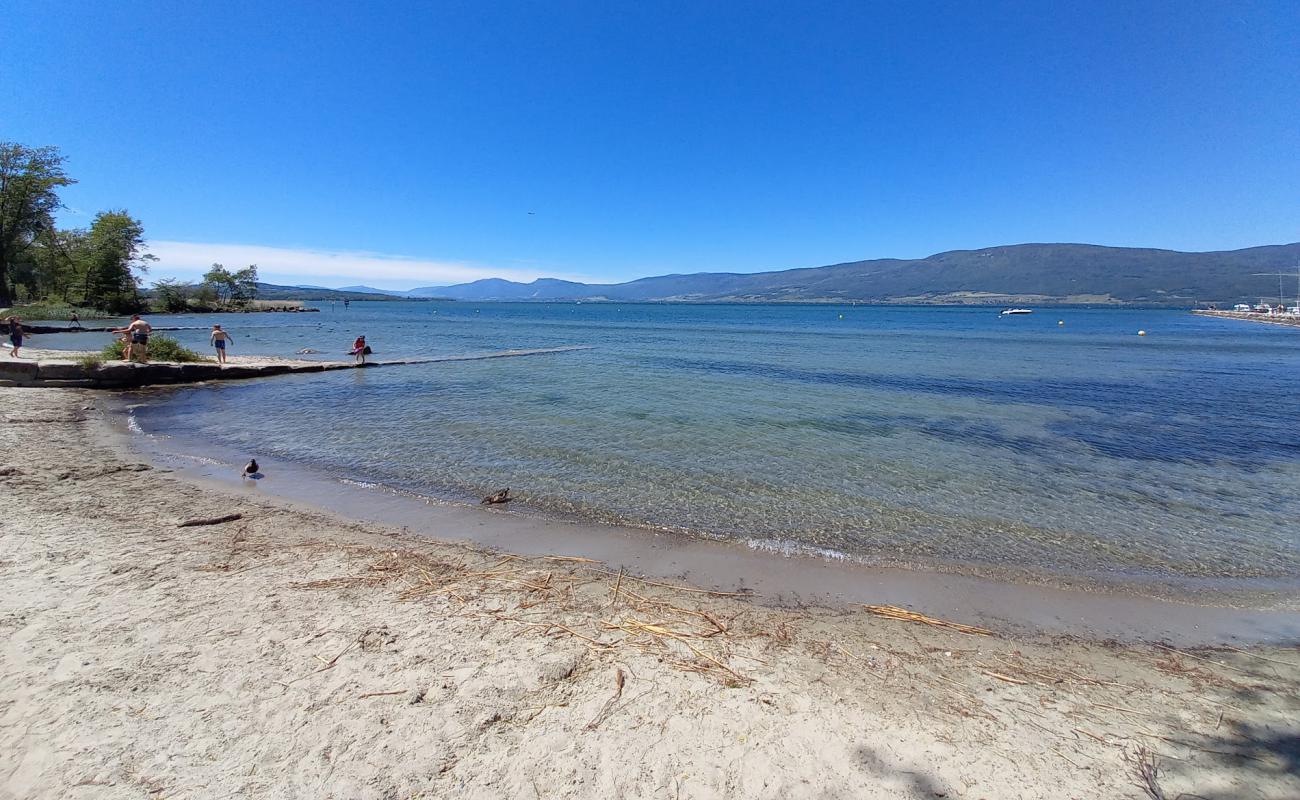 Photo de Plage de Cheyres avec sable beige de surface