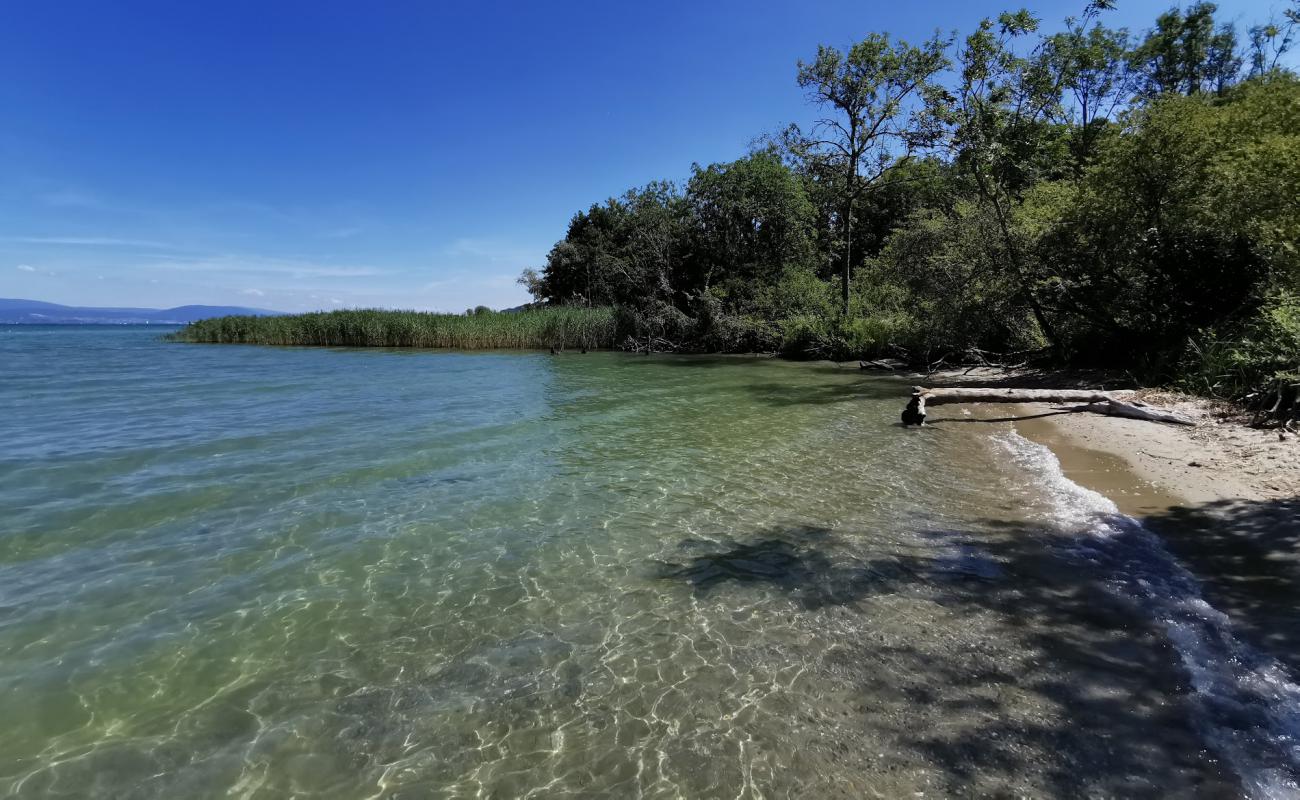 Photo de Plage de la Petite Amerique avec sable lumineux de surface