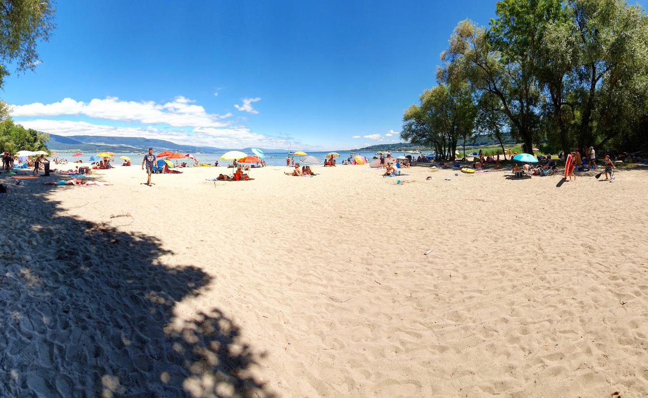 Photo de Plage de Goncerut avec sable lumineux de surface