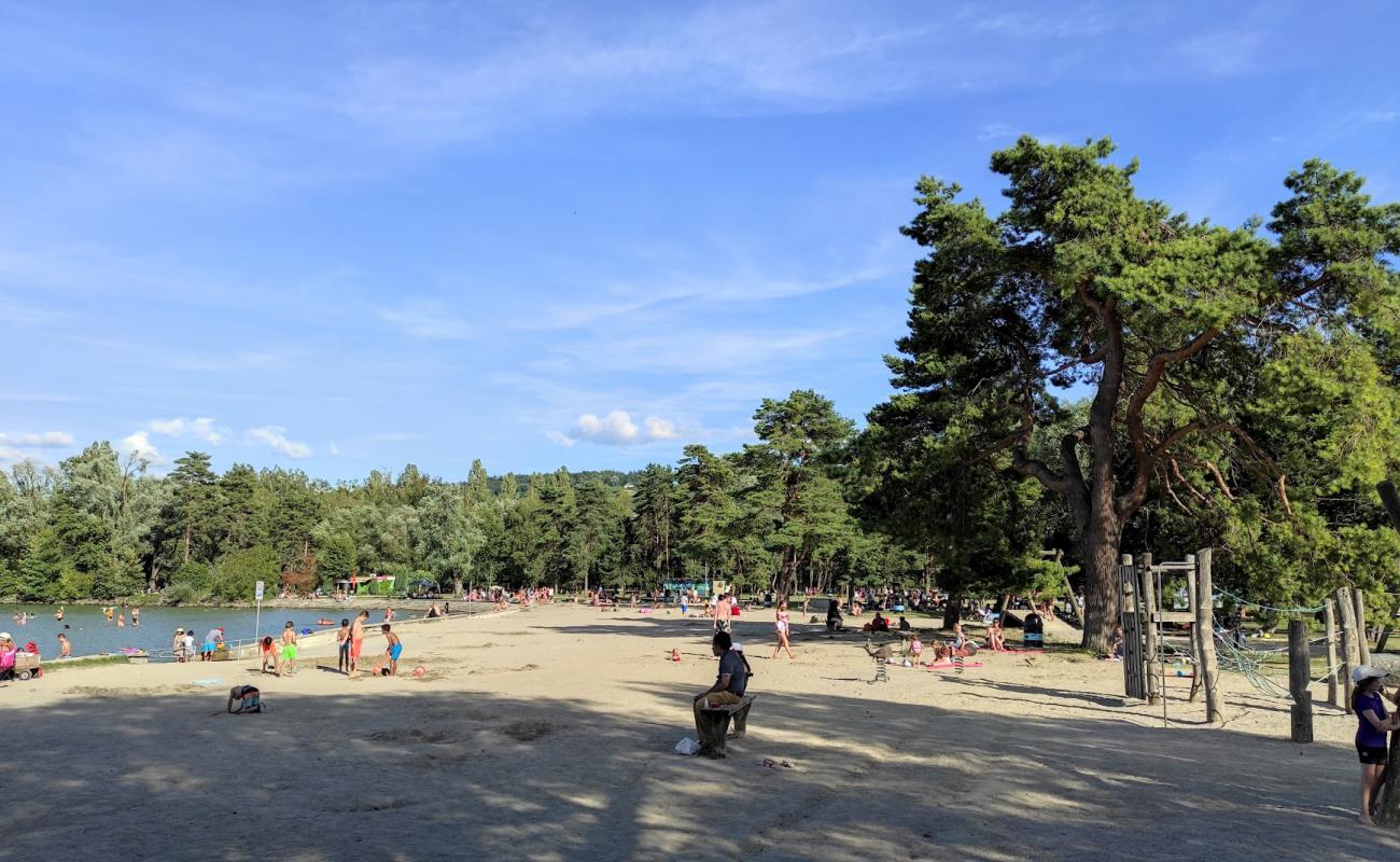 Photo de Plage d'Yverdon-les-Bains avec sable lumineux de surface