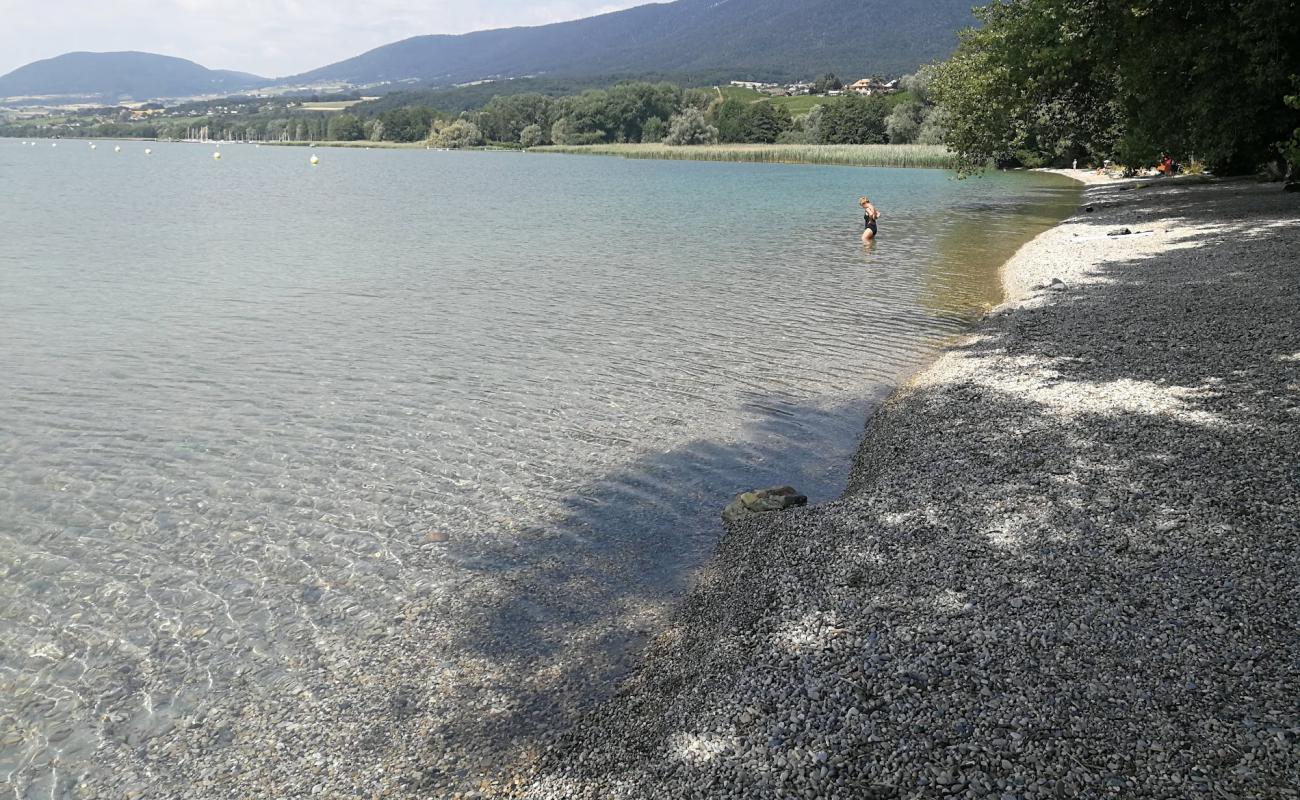 Photo de Plage de la Pointe du Grain avec caillou fin gris de surface