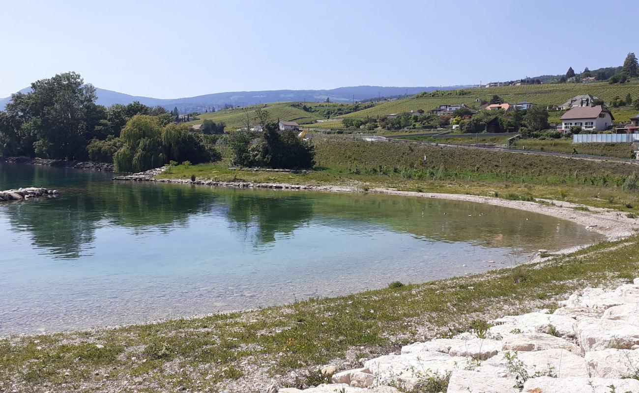 Photo de Plage de Serrieres avec roches de surface