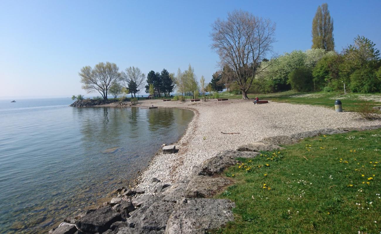 Photo de Plage de Serriere avec caillou gris de surface