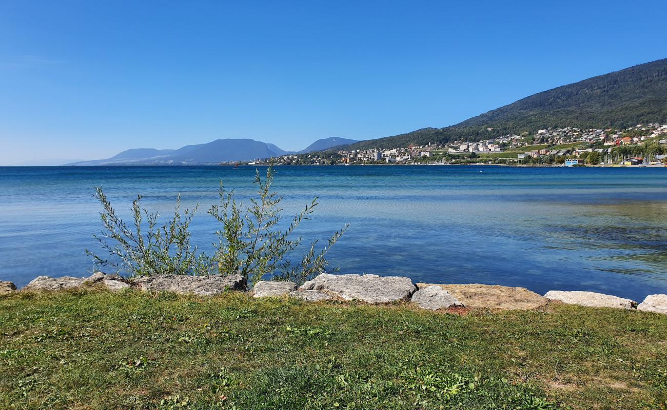 Photo de Plage les Indiennes avec herbe de surface
