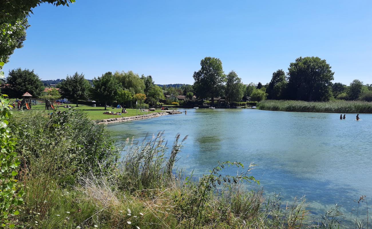 Photo de Cudrefin Plage avec herbe de surface