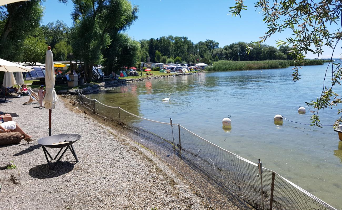 Photo de Muntelier Plage avec herbe de surface