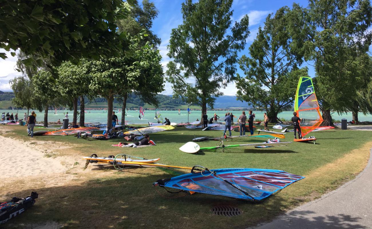 Photo de Cote plage avec herbe de surface