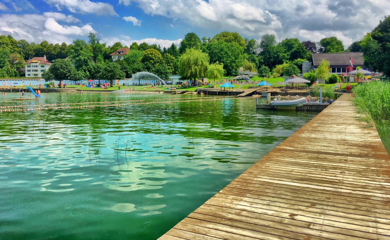 Photo de Schwimmbad Murten avec herbe de surface