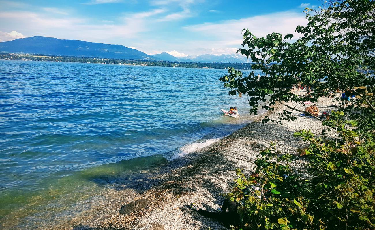 Photo de Plage de la Becassine avec petits galets gris de surface