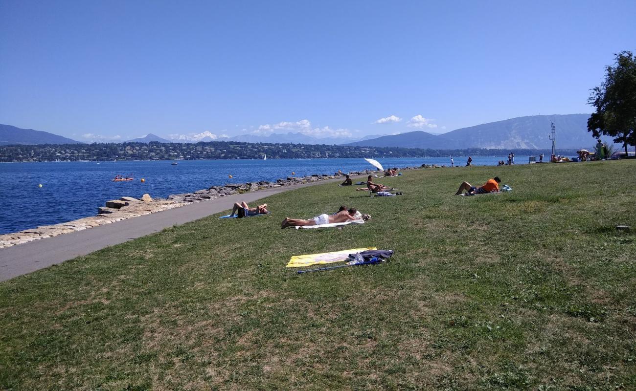 Photo de Plage du Vengeron avec herbe de surface
