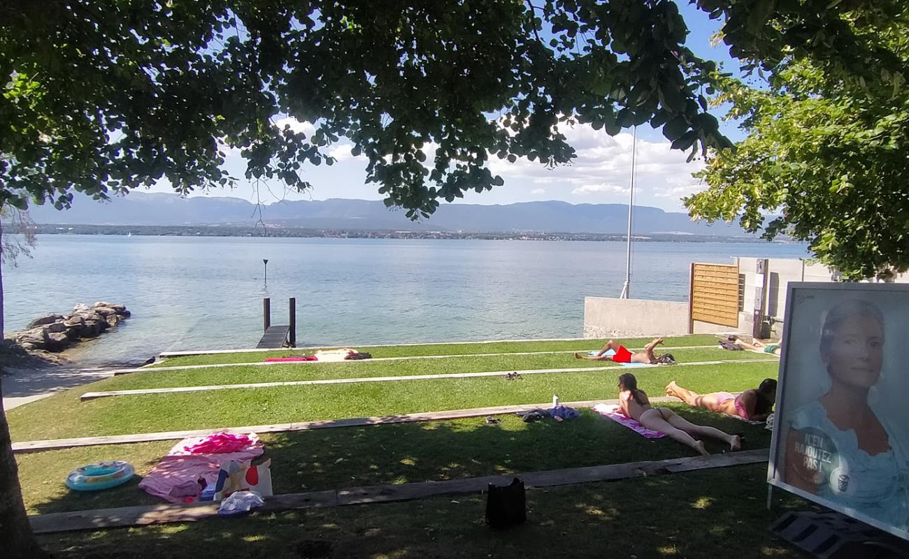 Photo de Plage des Courbes avec herbe de surface