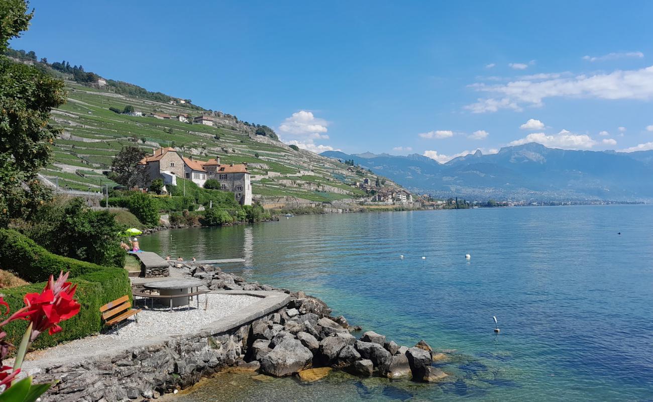 Photo de Rivaz Plage avec herbe de surface