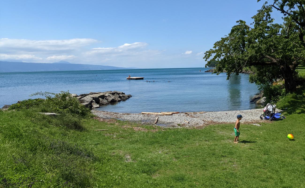 Photo de Plage de Cully avec petits galets gris de surface