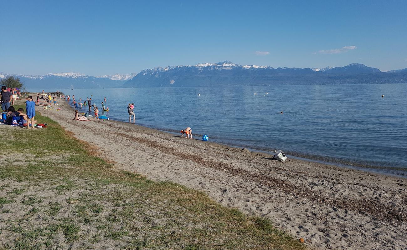 Photo de Plage de St.-Sulpice avec petits galets gris de surface