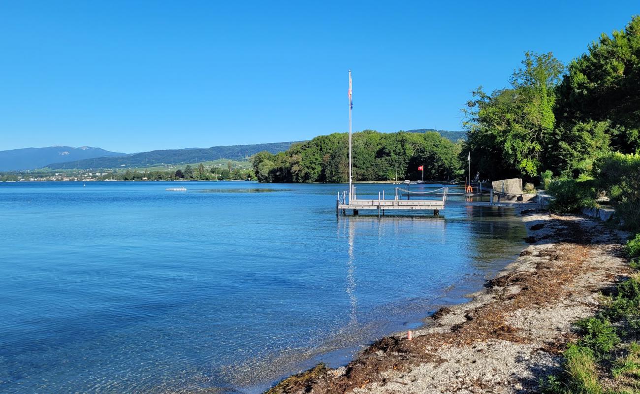 Photo de Allaman beach avec galets gris de surface
