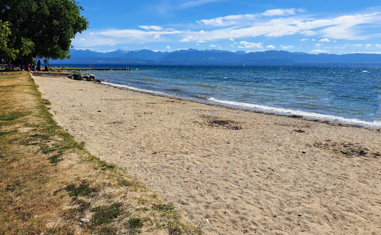 Photo de Plage de Rolle avec sable beige de surface