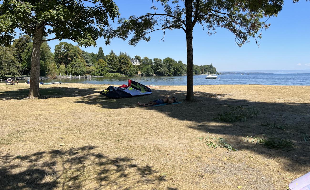 Photo de Plage de la Dullive avec herbe de surface