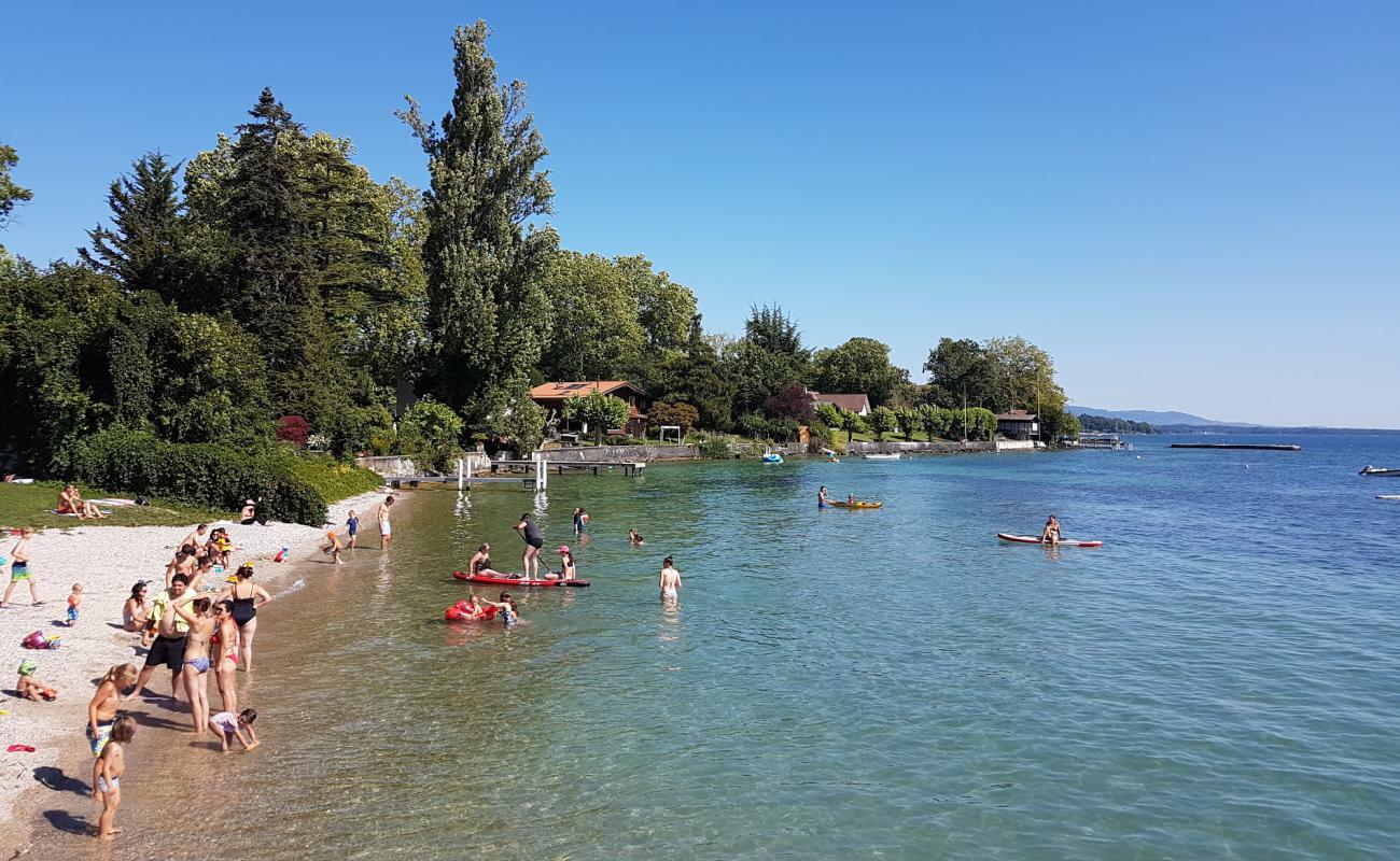 Photo de Plage de Celigny avec herbe de surface