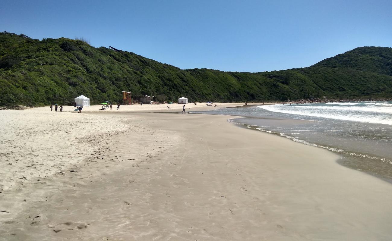 Photo de Praia do Rosa Norte avec sable beige fin de surface