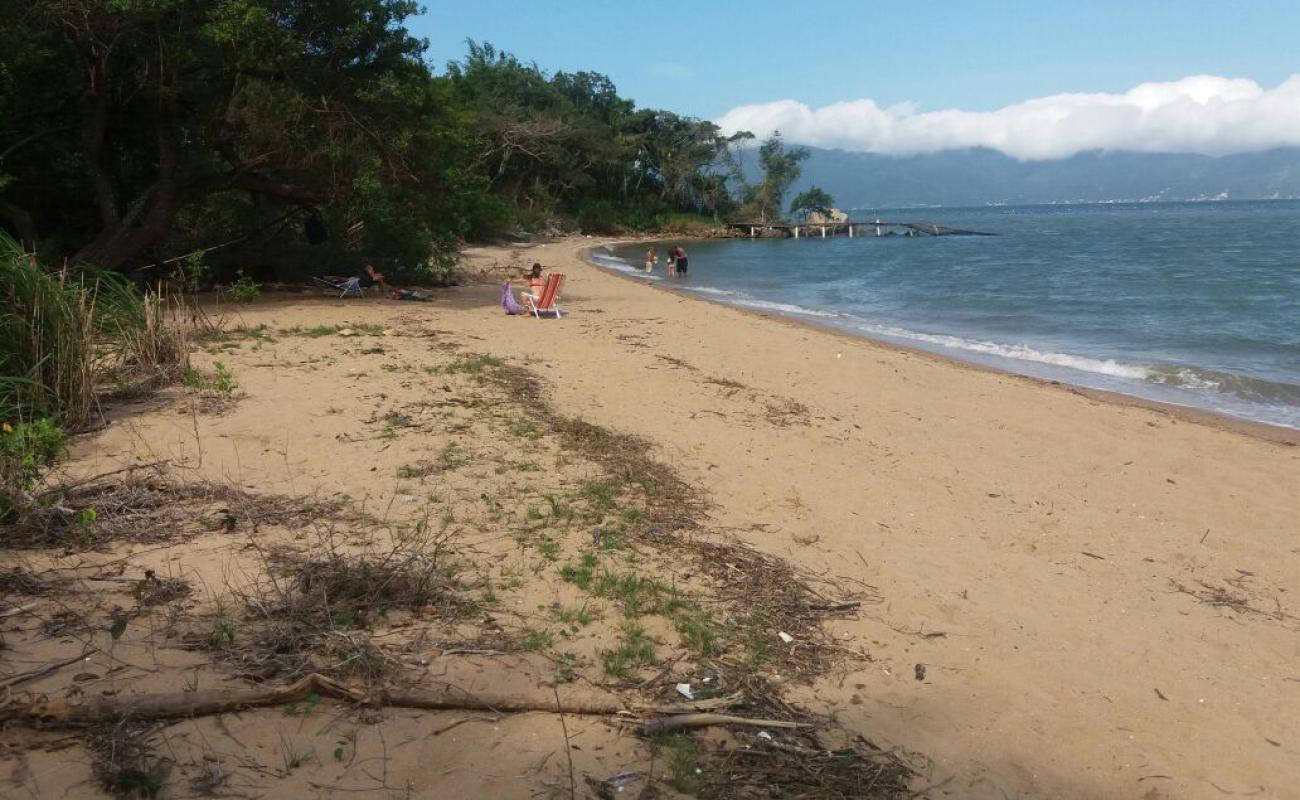 Photo de Praia do Cedro avec sable lumineux de surface