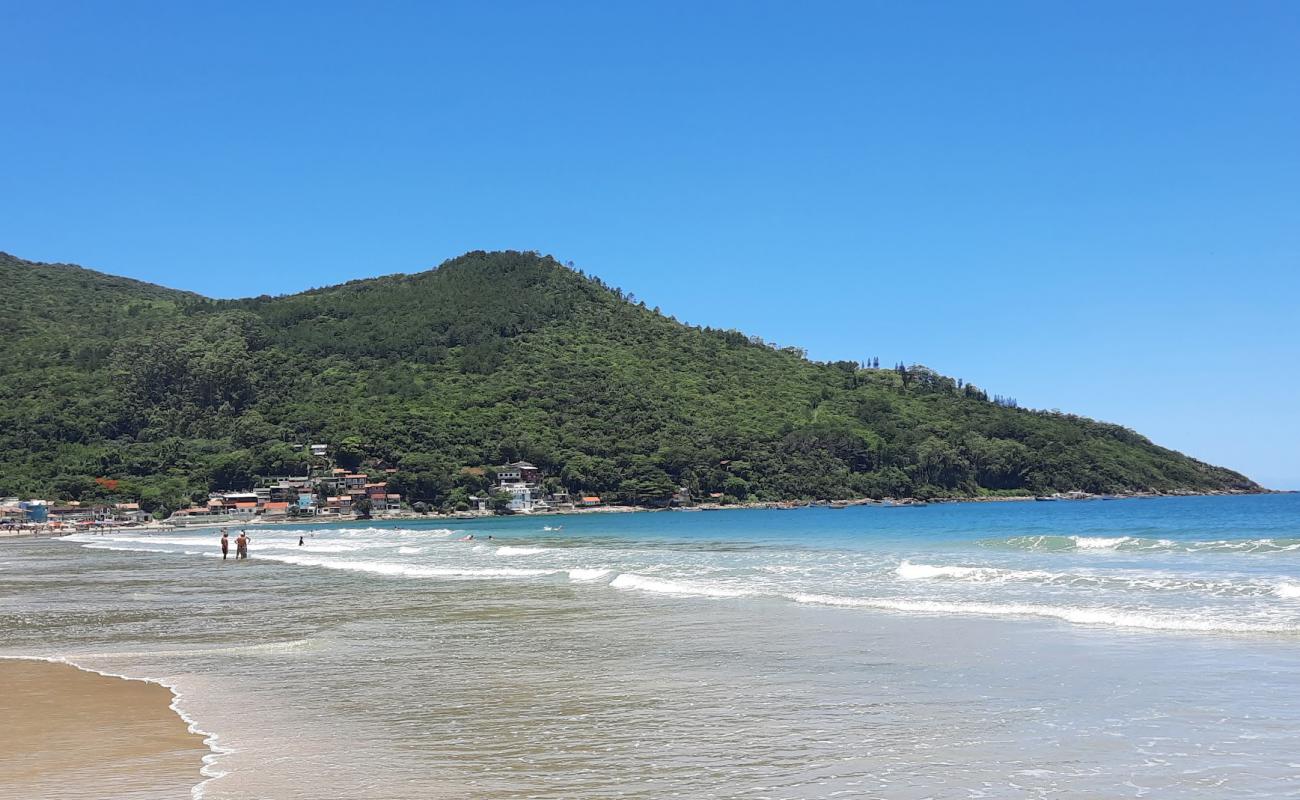 Photo de Plage des Açores avec sable lumineux de surface