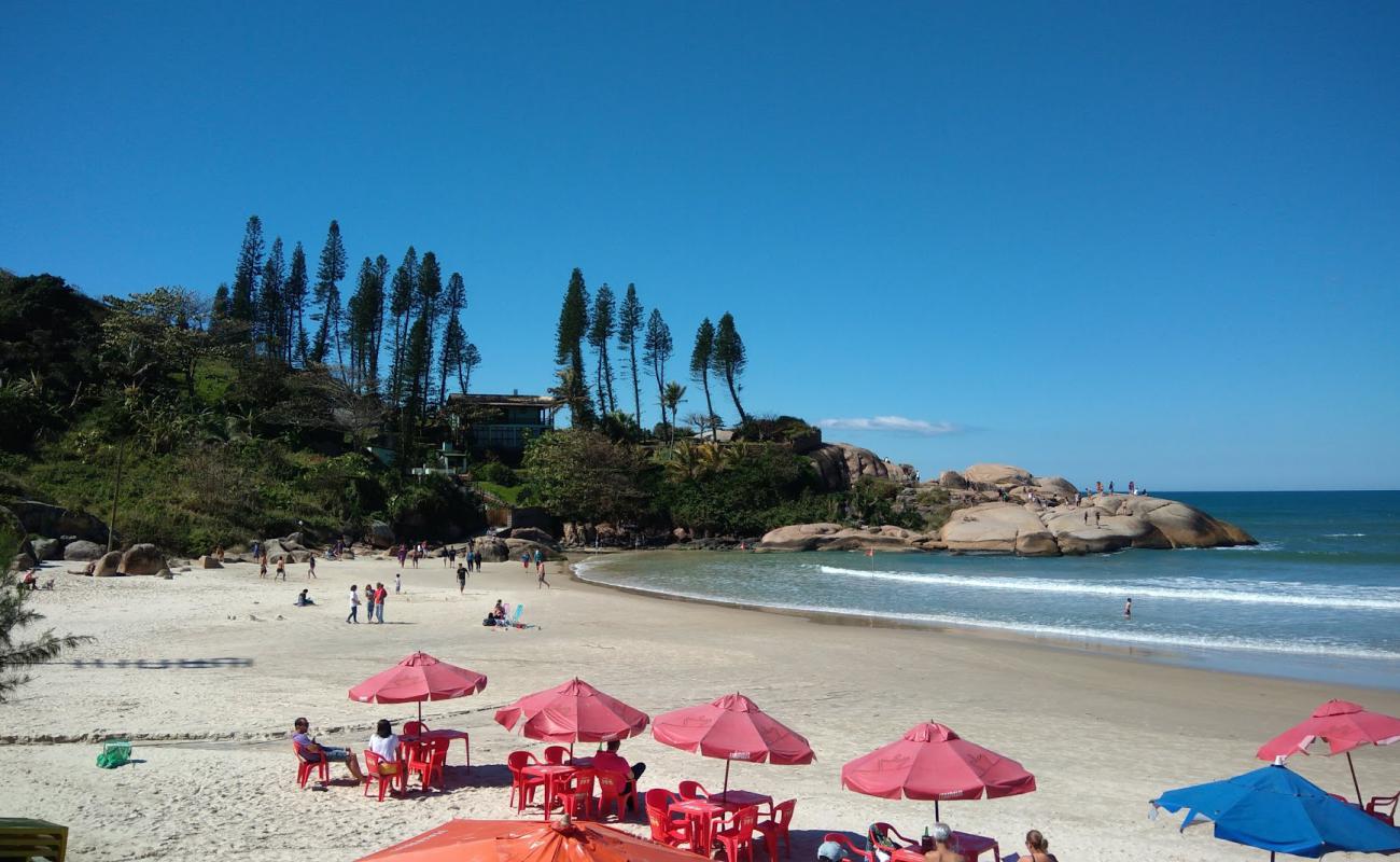 Photo de Plage de Joaquina avec sable fin et lumineux de surface