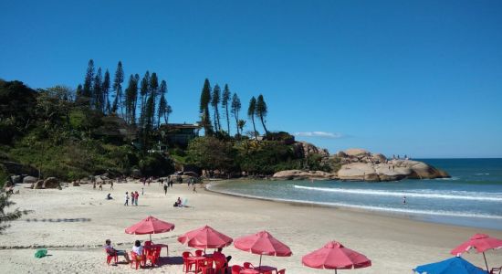 Plage de Joaquina