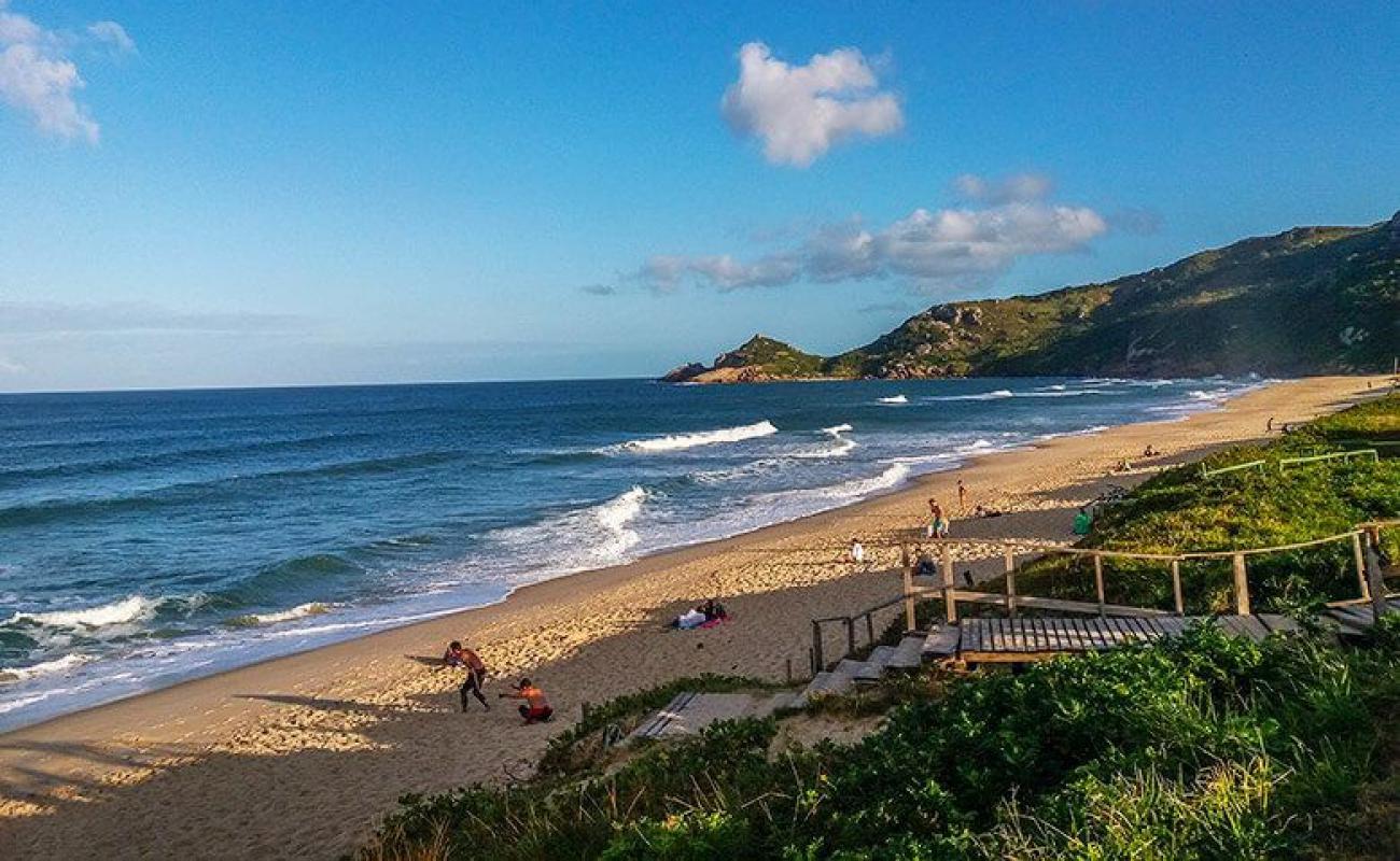 Photo de Praia Mole avec sable fin et lumineux de surface