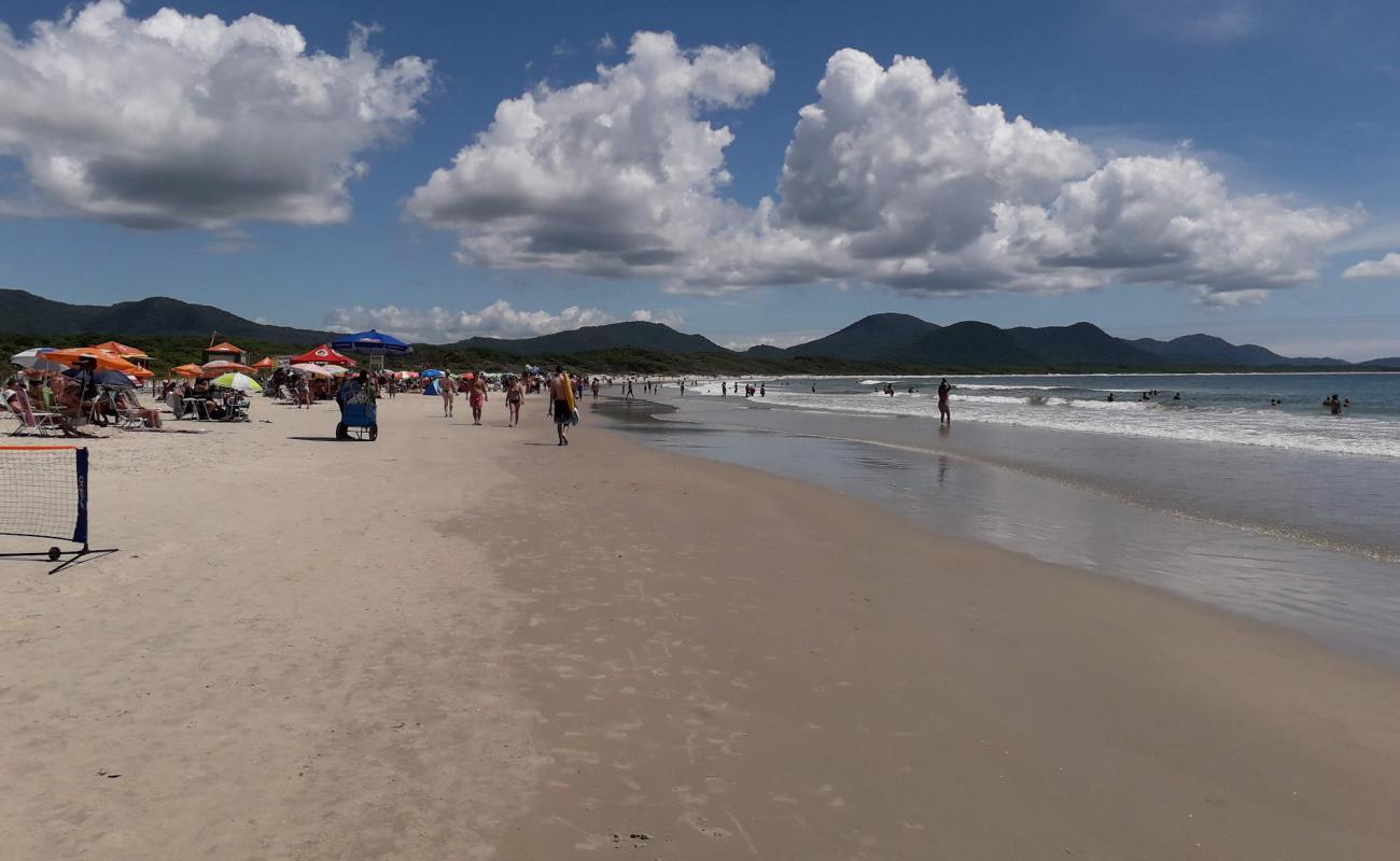 Photo de Plage de Barra da Lagoa avec sable fin et lumineux de surface