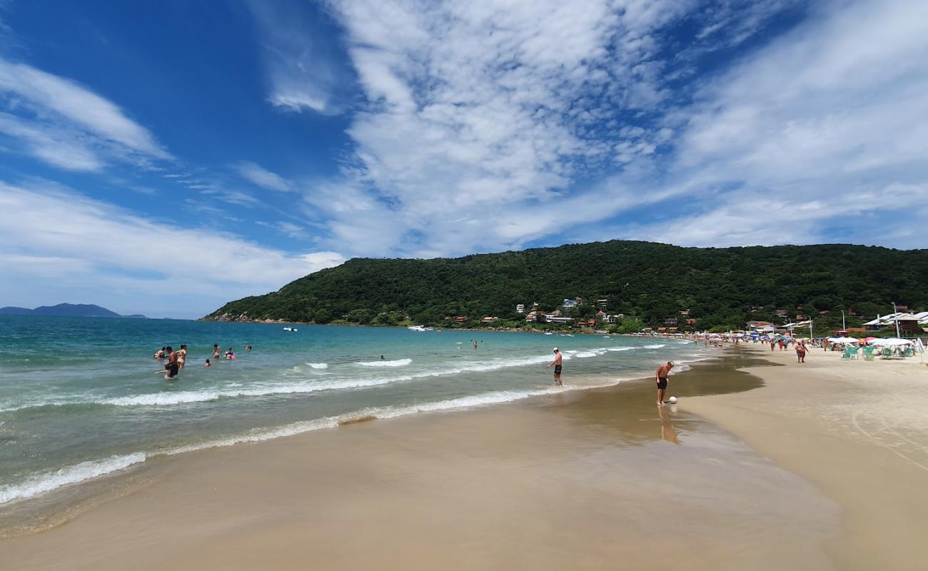 Photo de Plage de Ponta das Canas avec sable fin et lumineux de surface