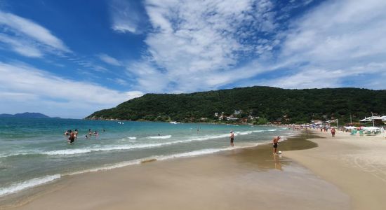 Plage de Ponta das Canas