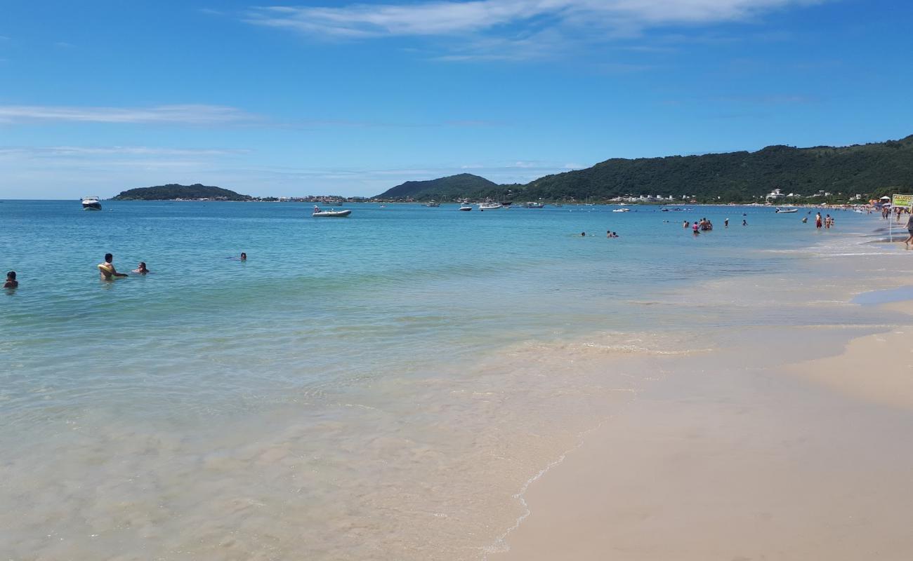 Photo de Cachoeira do Bom Jesus Beach avec sable beige de surface