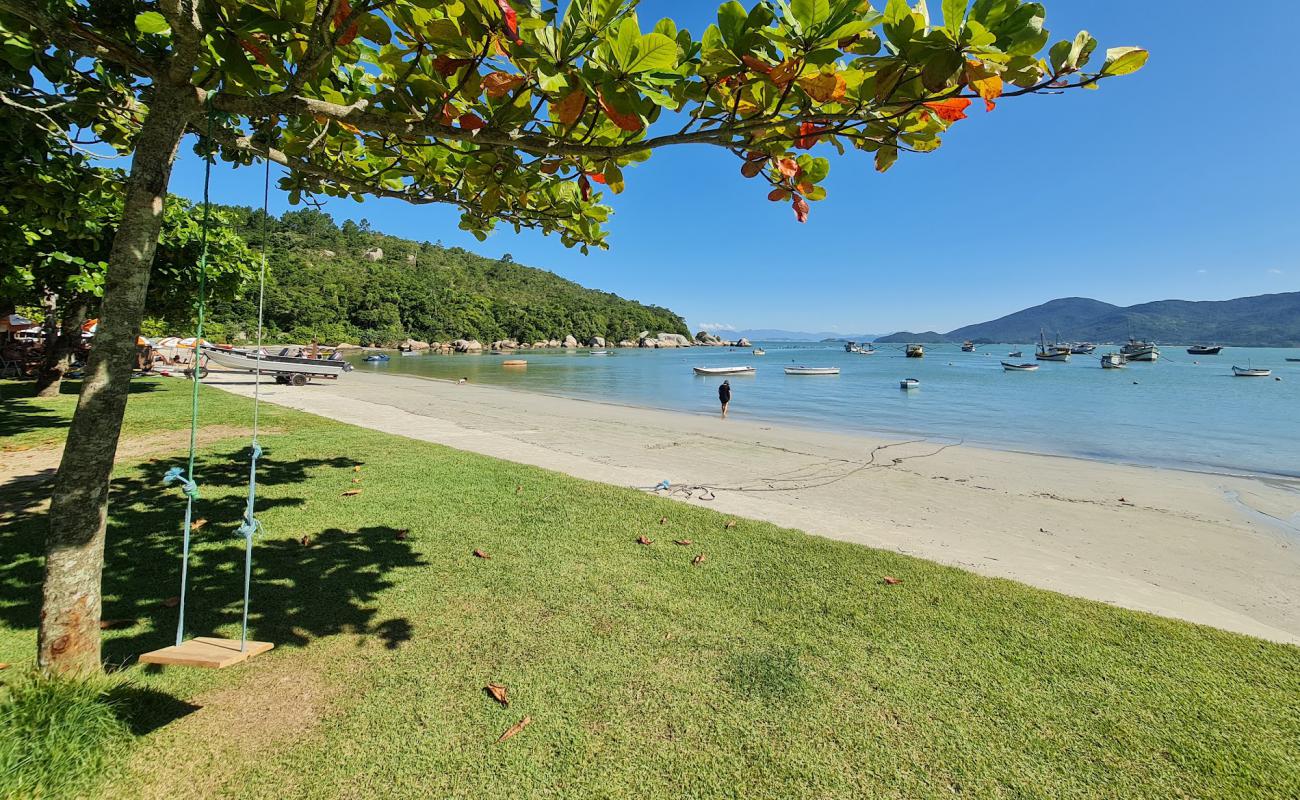 Photo de Praia da Armacao da Piedade avec sable beige de surface