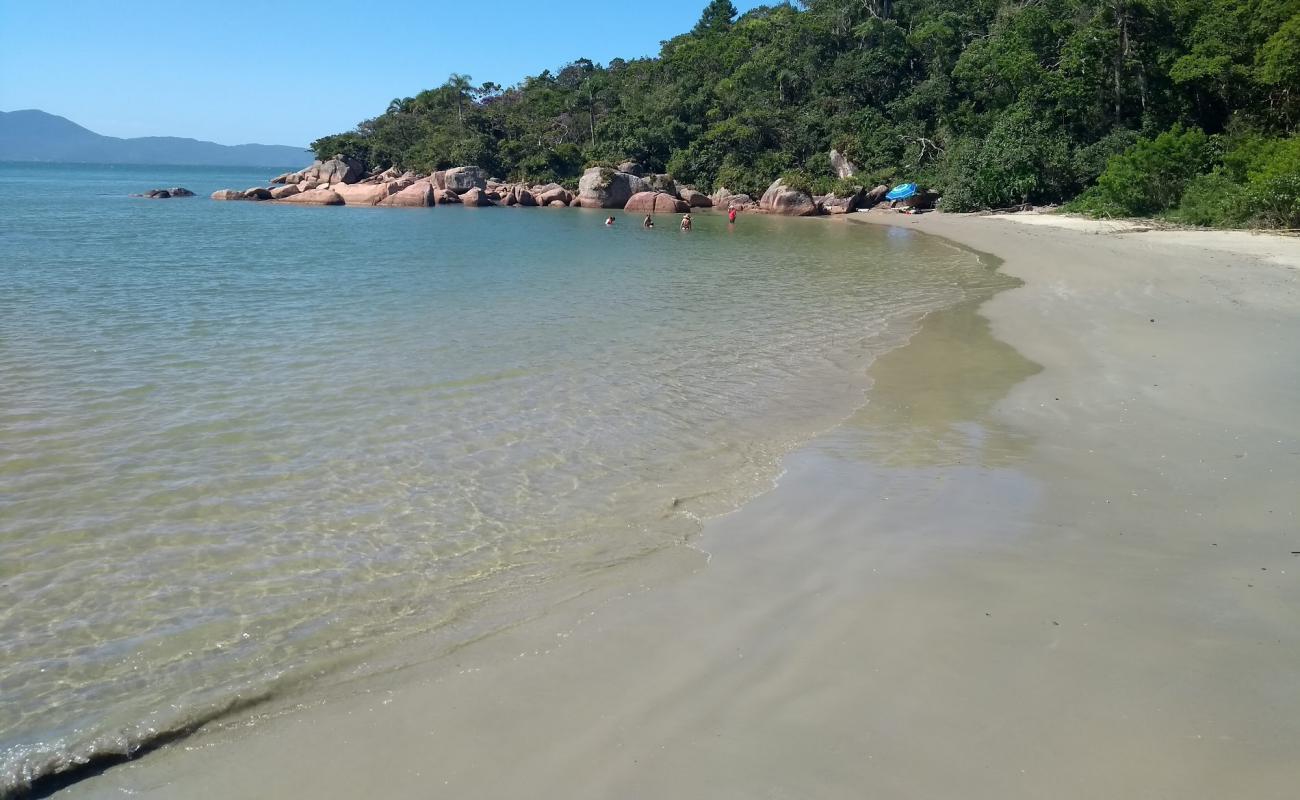 Photo de Prainha de Ganchos de Fora avec sable beige de surface