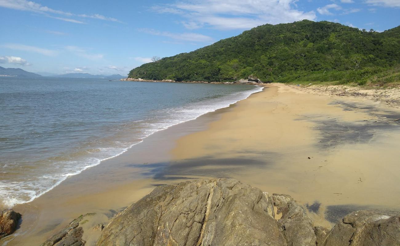 Photo de Lonely Plage avec sable beige de surface
