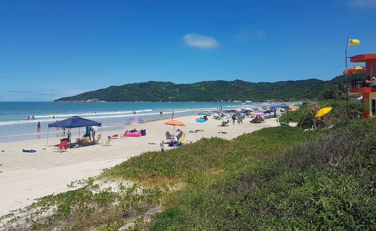 Photo de Praia de Mariscal avec sable fin et lumineux de surface