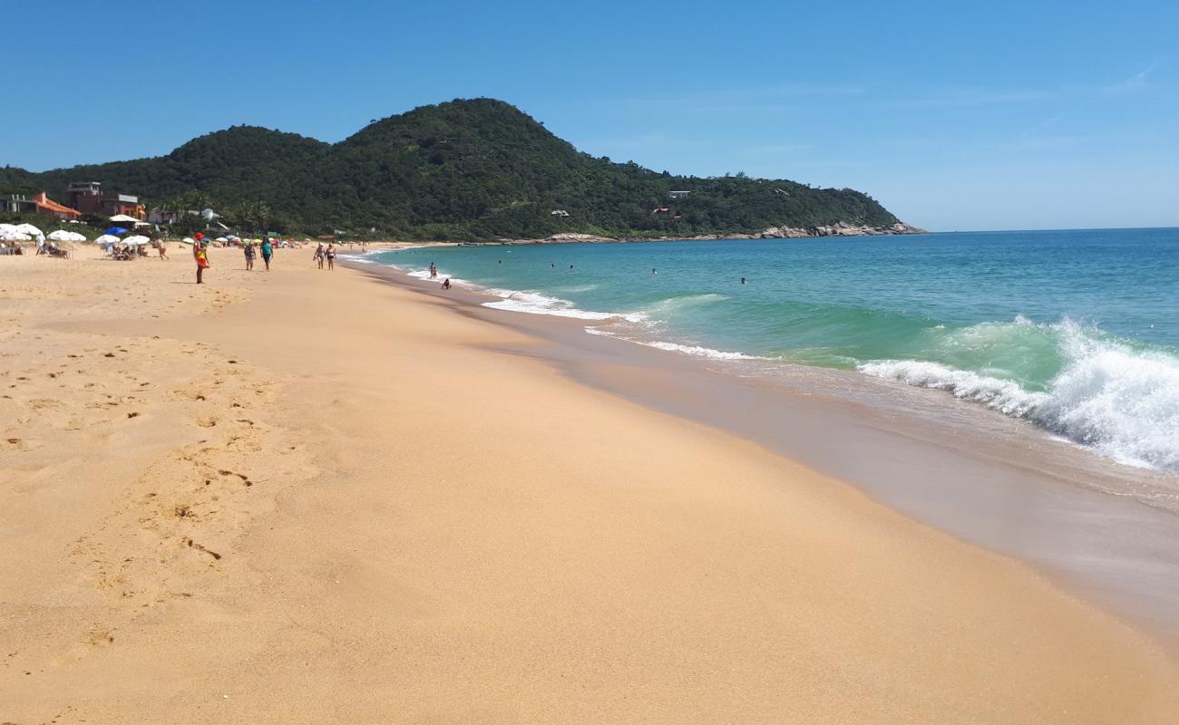 Photo de Praia do Estaleirinho avec sable beige de surface