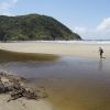 Plage de Juquiazinho