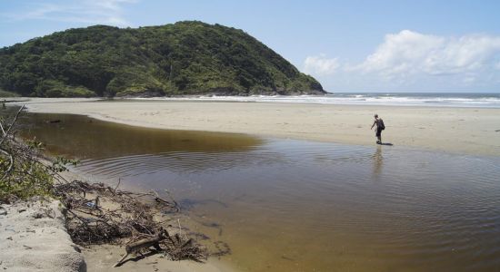 Plage de Juquiazinho