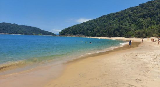 Plage de Figueira