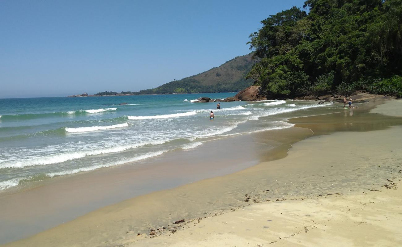 Photo de Plage de Brava da Fortaleza avec sable beige fin de surface