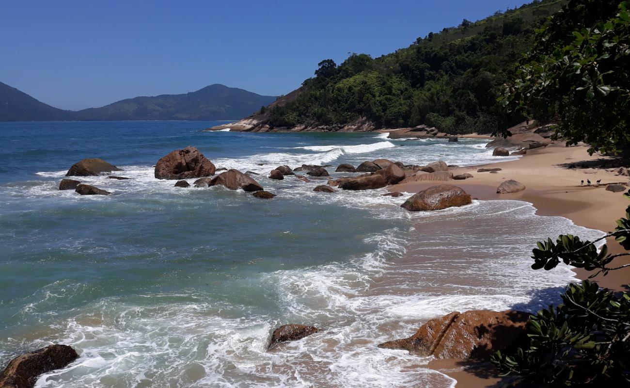 Photo de Praia do Tapia avec sable beige de surface
