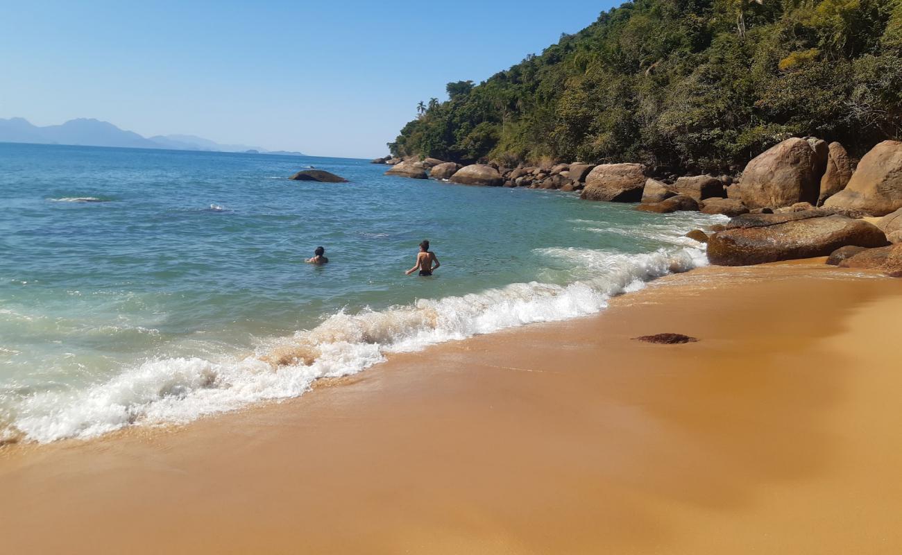 Photo de Praia do Cedro avec sable beige fin de surface