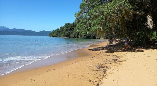 Plage de Rose