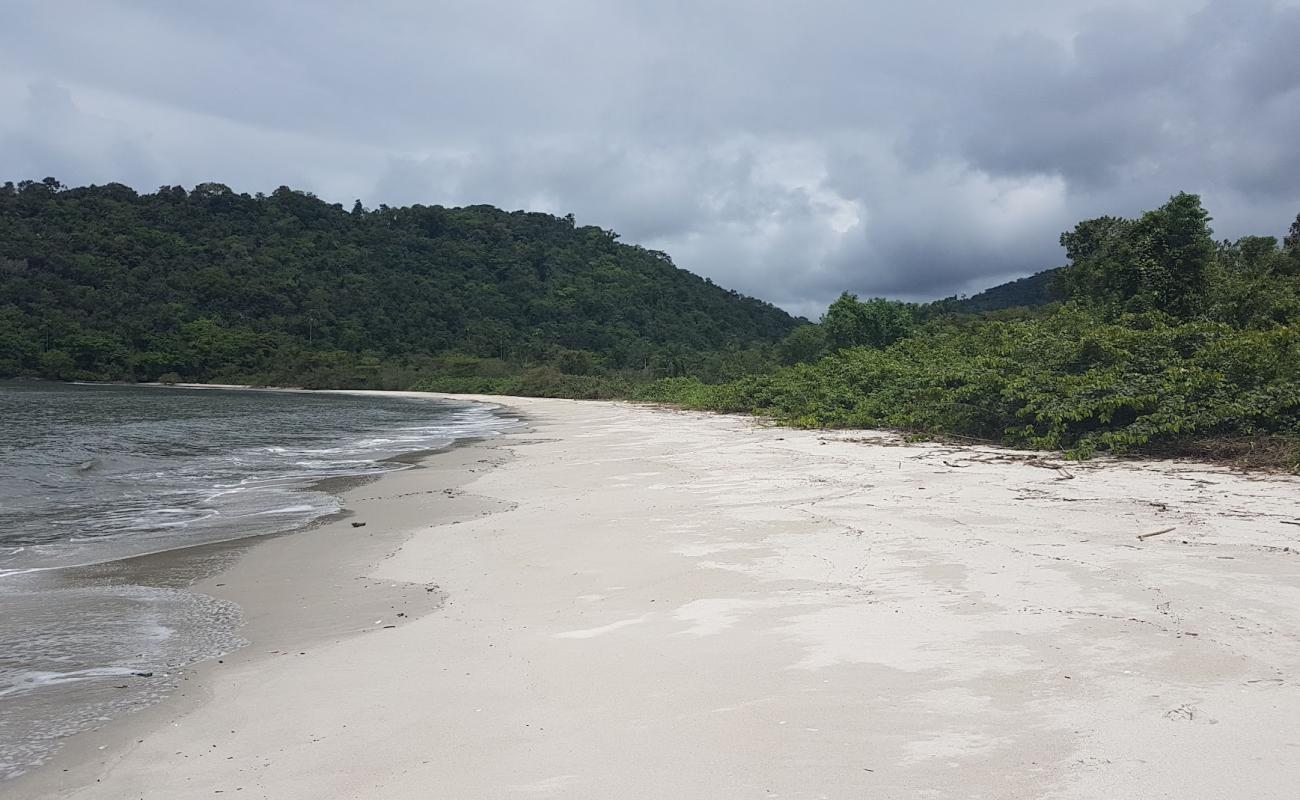 Photo de Plage de Sao Roque avec sable beige de surface