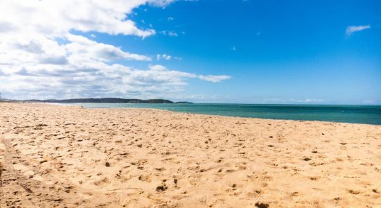 Plage de Seagull Cove