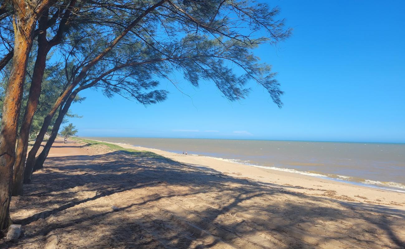 Photo de Plage de Farol avec sable beige de surface