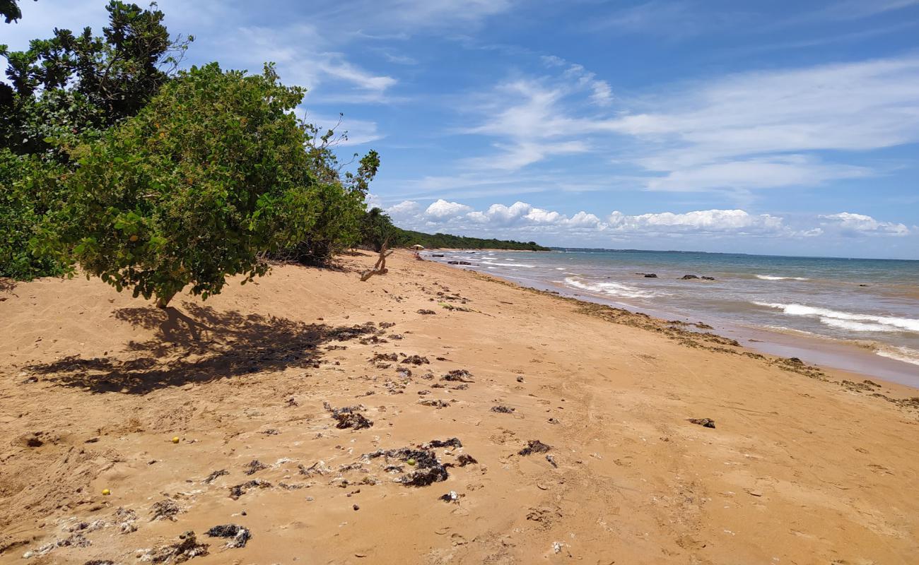 Photo de Plage de Costa Bela avec sable beige de surface