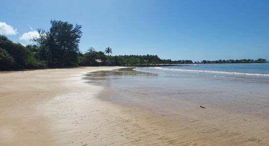 Plage de la Biologie