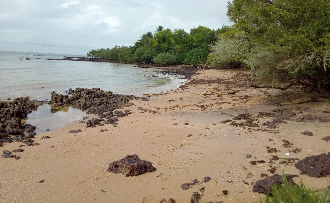 Photo de Plage de Maracapeba avec sable beige de surface